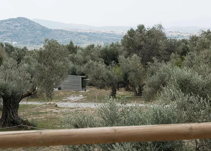 Pantotina Kaloxylos Naxos * Khalkíon