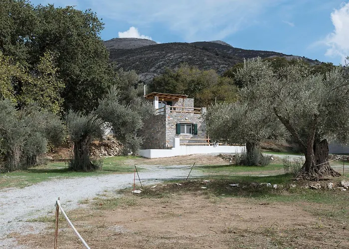 Pantotina Kaloxylos Naxos Khalkíon
