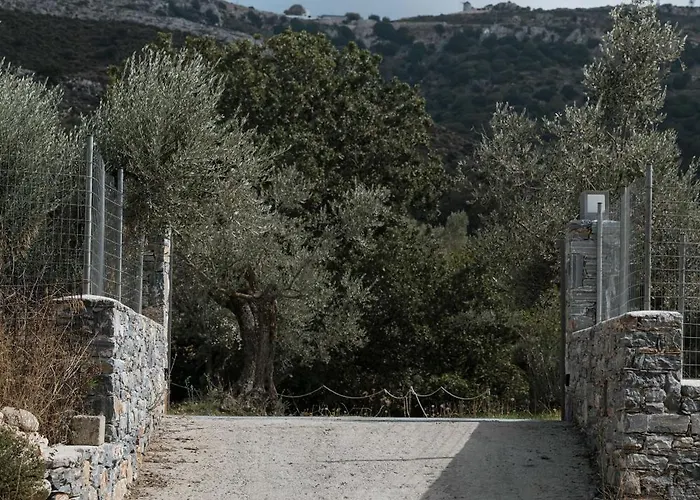 Pantotina Kaloxylos Naxos Feriehus