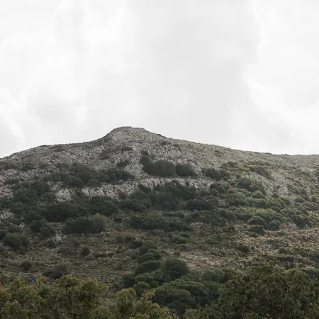 Pantotina Kaloxylos Naxos Khalkion