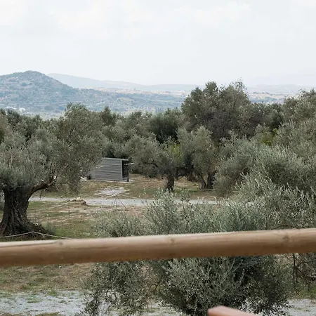 Pantotina Kaloxylos Naxos * Khalkion