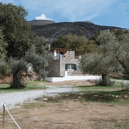 Pantotina Kaloxylos Naxos Halkío