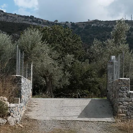 Pantotina Kaloxylos Naxos Holiday home