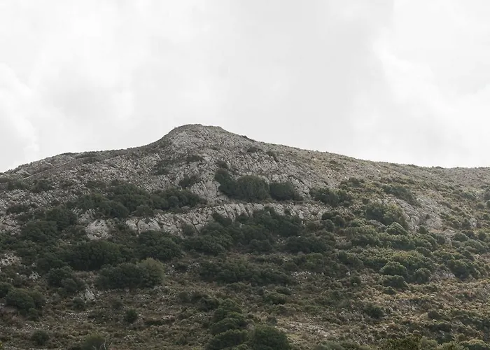 Pantotina Kaloxylos Naxos Khalkíon